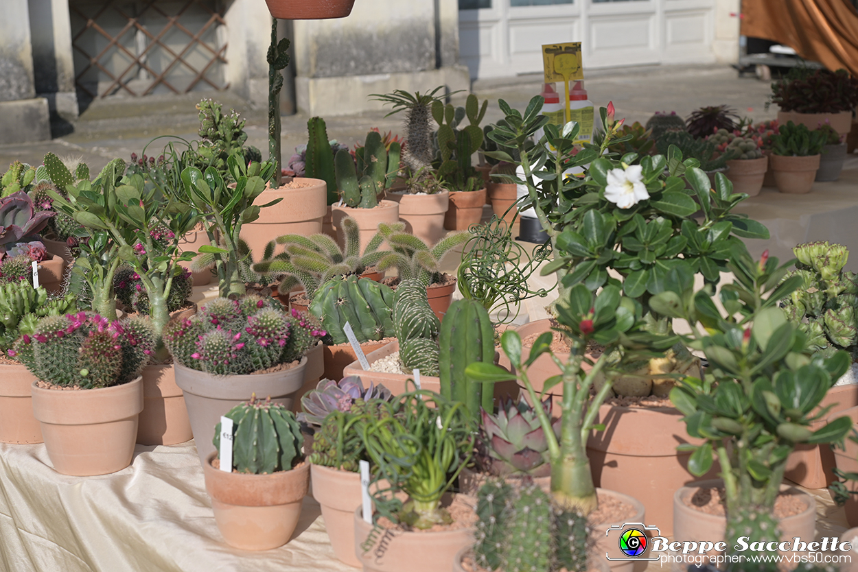 VBS_8961 - Mostra Mercato FloReal 2024.jpg